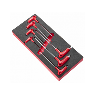 MODUŁ KLUCZY TRZPIENIOWYCH TORX® NA WKŁADCE PIANKOWEJ