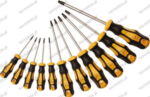 B.7845 Wkrętaki Torx T6-T40 z otworem, 11 szt.