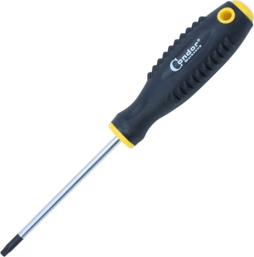 Wkrętak Torx T25x100 mm