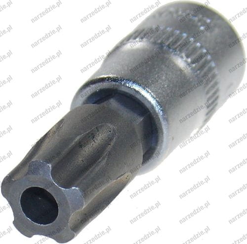 B.5184-TS40