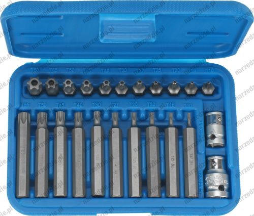 C.1011 Bity, 23 szt., Torx T10-T50 z otworem