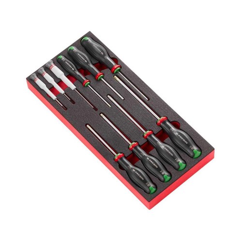 Moduł 10 wkrętaków Protwist® Resistorx® i Micro-Tech® Torx®, T6 – T8 i TT10 – TT40, wkładka piankowa