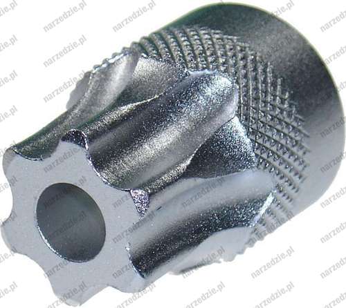 Nasadka trzpieniowa 1/2", Torx z otworem T60 x 30 mm