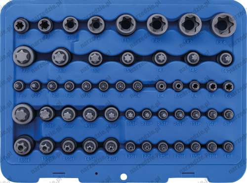 Nasadki Torx T + E, Torx-Plus, pięciokąt, 52 szt.