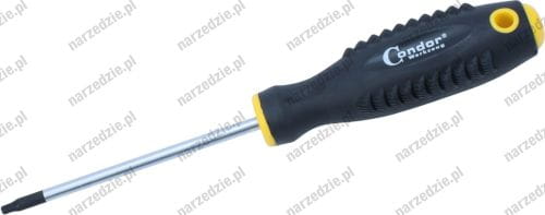 C.930-203 Wkrętak Torx T20x100 mm