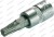 B.2565 Nasadka trzpieniowa 1/4", Torx T35 x 35 mm