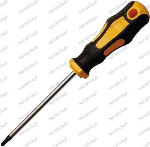 B.7844-T10 Wkrętak Torx T10x60 mm