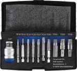 B.9170 Wykrętaki trzpieniowe Torx T10-T55, 11 szt.
