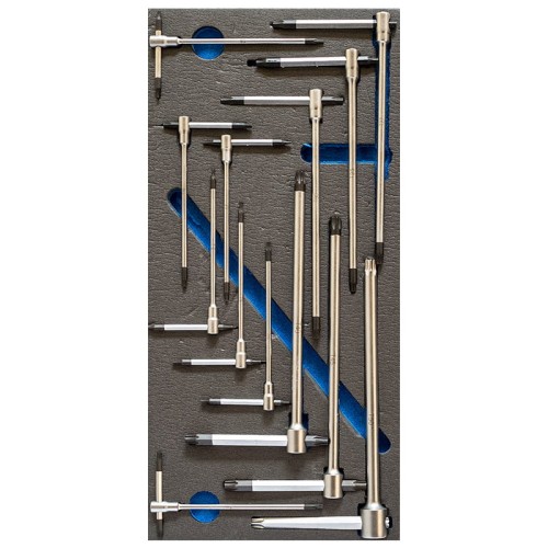 Zestaw kluczy TORX z rękojeścią T w wytłoczce piankowej TM01/009