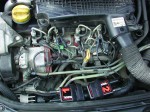 STE97216_3 (1).jpg