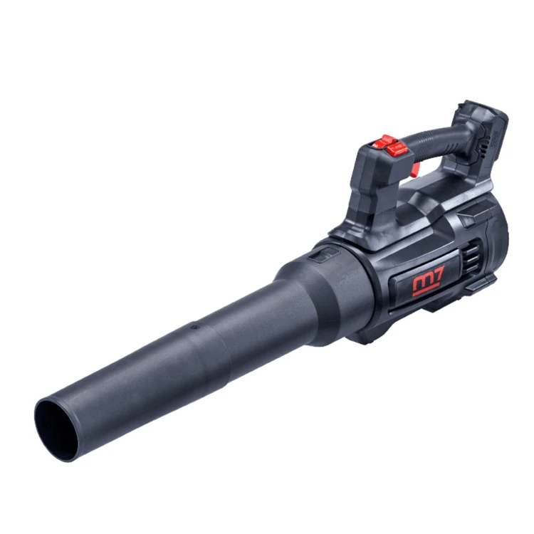 DLB-102-1.jpg