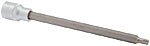 TRZPIEŃ TORX długi  T50