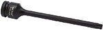 TRZPIEŃIE TORX UDAR  T60