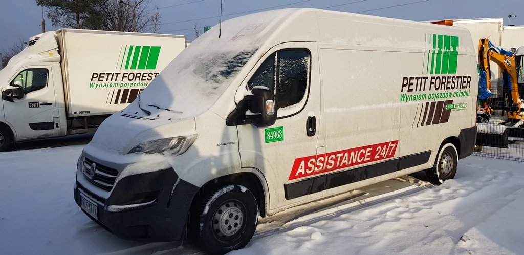 Realizacja Petit Forestier Polska