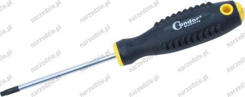 C.930-253 Wkrętak Torx T25x100 mm