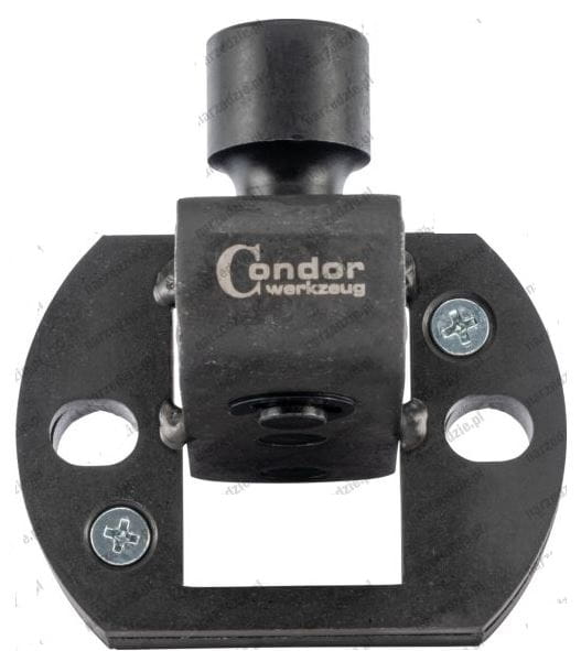 C51103.JPG