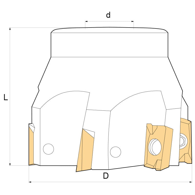 F302-_1.jpg