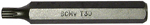 1390.jpg