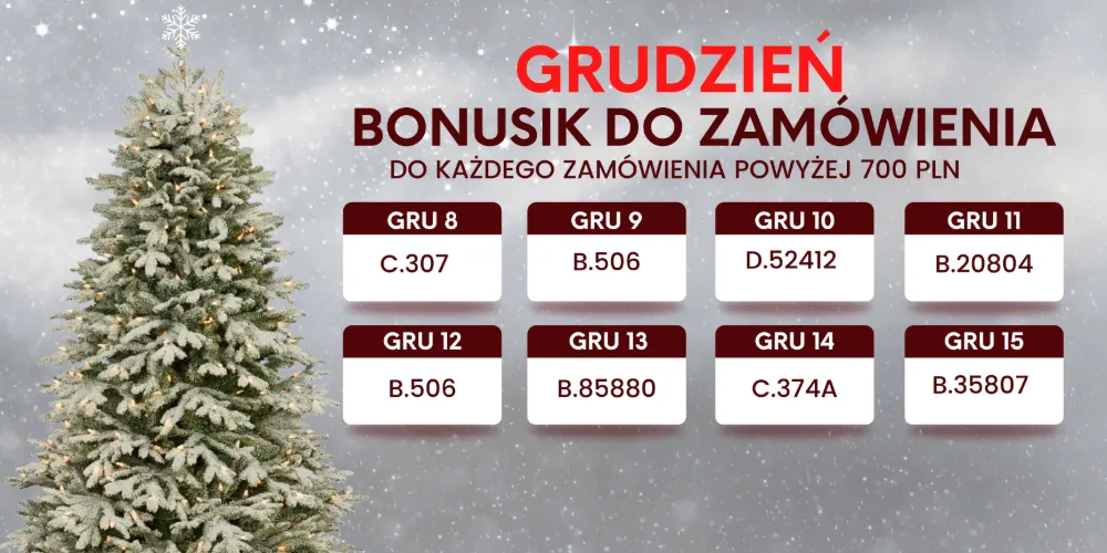 Bonusik